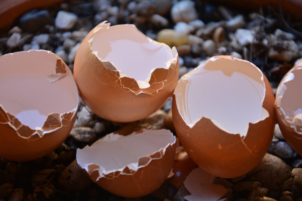 Egg shell membrane BioSierra
